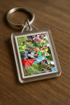 Evenement foto: Serie 348