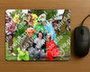 Evenement foto: Serie 348