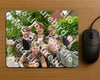 Evenement foto: Serie 348