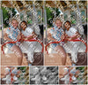Evenement foto: Serie 349