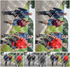 Evenement foto: Serie 1976