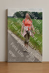 Evenement foto: Serie 1976