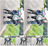 Evenement foto: Serie 1978