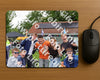 Evenement foto: Serie 101