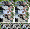 Evenement foto: Serie 102