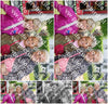 Evenement foto: Serie 2056