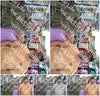 Evenement foto: Serie 2057