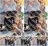 Evenement foto: Serie 2058