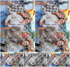 Evenement foto: Serie 2058