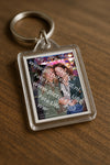 Evenement foto: Serie 2059
