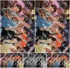 Evenement foto: Serie 2060