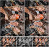 Evenement foto: Serie 2061
