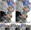 Evenement foto: Serie 2062