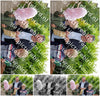 Evenement foto: Serie 2062