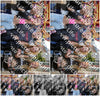 Evenement foto: Serie 2065