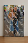 Evenement foto: Serie 2065