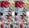 Evenement foto: Serie 2065