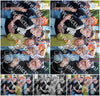Evenement foto: Serie 2067