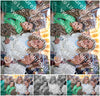 Evenement foto: Serie 2067