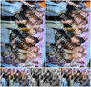Evenement foto: Serie 2067
