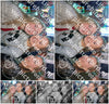 Evenement foto: Serie 2067