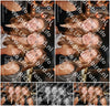 Evenement foto: Serie 2068