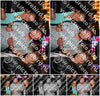 Evenement foto: Serie 2069