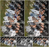 Evenement foto: Serie 2071