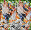 Evenement foto: Serie 2071