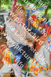 Evenement foto: Serie 2071