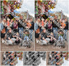 Evenement foto: Serie 2071