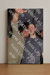 Evenement foto: Serie 2073