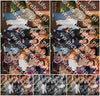 Evenement foto: Serie 2073