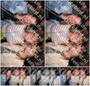 Evenement foto: Serie 2073
