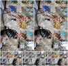 Evenement foto: Serie 2077