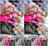 Evenement foto: Serie 2077