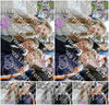 Evenement foto: Serie 2078
