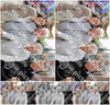 Evenement foto: Serie 2078