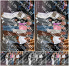 Evenement foto: Serie 2092