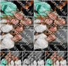 Evenement foto: Serie 2093