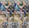 Evenement foto: Serie 2100