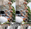 Evenement foto: Serie 2100