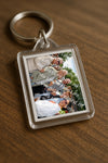 Evenement foto: Serie 2100