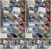 Evenement foto: Serie 2100