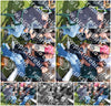 Evenement foto: Serie 2102