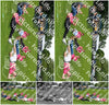 Evenement foto: Serie 2102