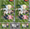 Evenement foto: Serie 2102