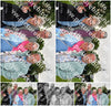 Evenement foto: Serie 2105