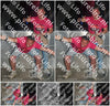 Evenement foto: Serie 2106