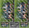 Evenement foto: Serie 2107
